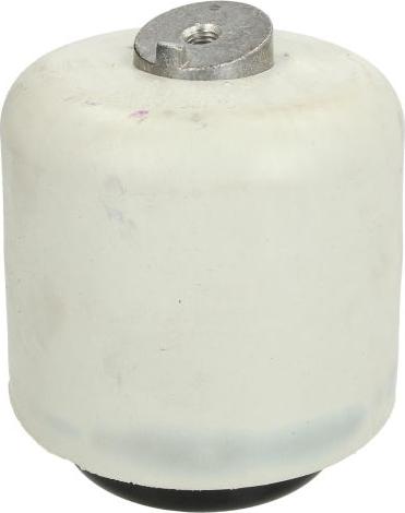 FEBI Bilstein 31979 - Подушка, підвіска двигуна autocars.com.ua