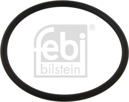 Febi Bilstein 32434 - Уплотнительное кольцо, поворотного кулака avtokuzovplus.com.ua