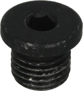 FEBI Bilstein 38788 - Резьбовая пробка, масляний піддон autocars.com.ua