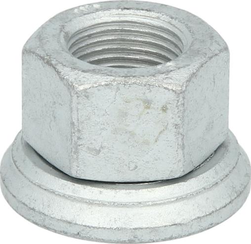 FEBI Bilstein 45019 - Гайка кріплення колеса autocars.com.ua