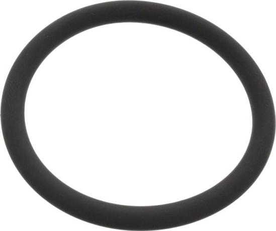 FEBI Bilstein 48765 - Прокладка, водяний насос autocars.com.ua