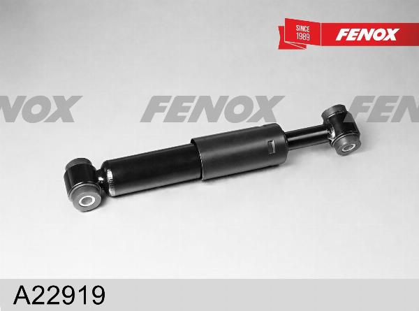 Fenox A22919 - Амортизатор autocars.com.ua