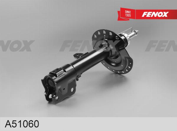 Fenox A51060 - Амортизатор autocars.com.ua