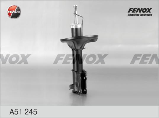 Fenox A51245 - Амортизатор autodnr.net