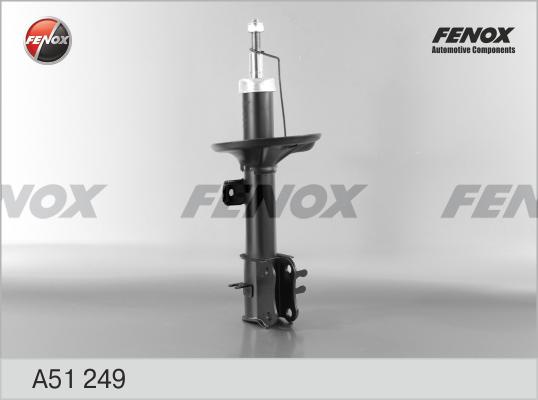 Fenox A51249 - Амортизатор autodnr.net
