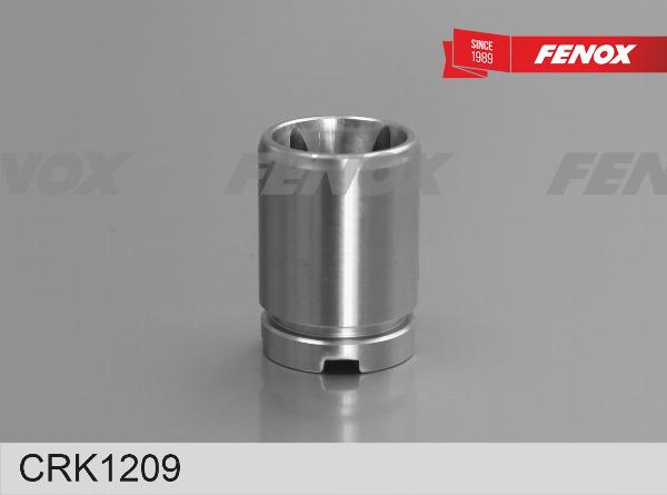 Fenox CRK1209 - Ремкомплект, гальмівний супорт autocars.com.ua