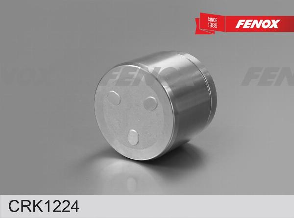 Fenox CRK1224 - Ремкомплект, гальмівний супорт autocars.com.ua