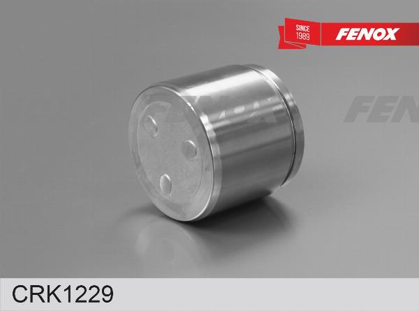 Fenox CRK1229 - Ремкомплект, гальмівний супорт autocars.com.ua