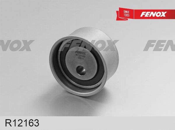 Fenox R12163 - Паразитний / провідний ролик, поліклиновий ремінь autocars.com.ua