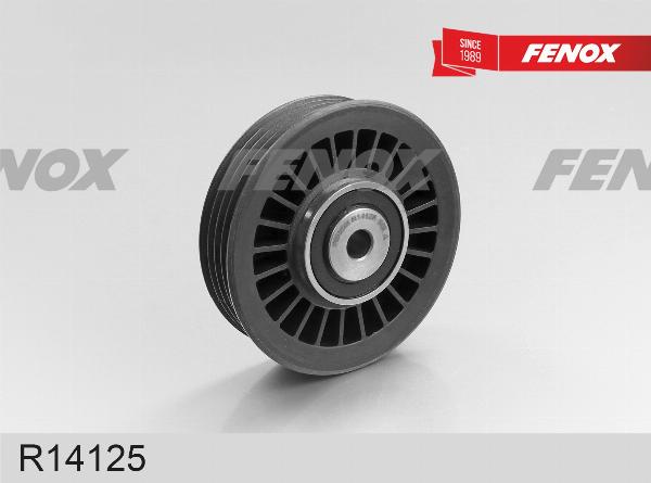 Fenox R14125 - Паразитний / провідний ролик, поліклиновий ремінь autocars.com.ua