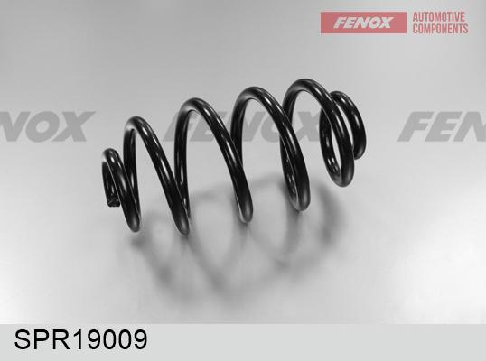 Fenox SPR19009 - Пружина ходовой части avtokuzovplus.com.ua