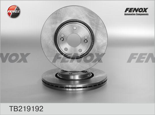 Fenox TB219192 - Тормозной диск avtokuzovplus.com.ua