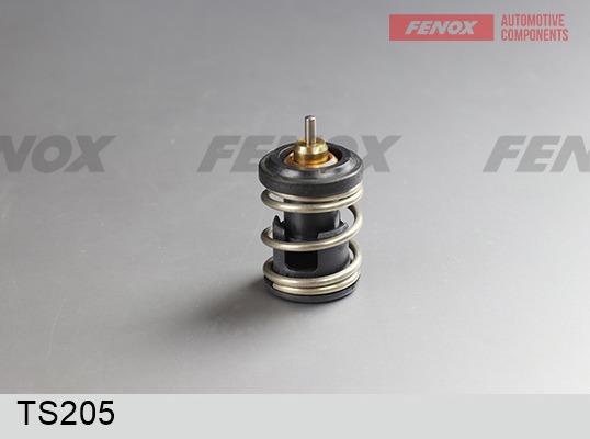 Fenox TS205 - Термостат, охолоджуюча рідина autocars.com.ua