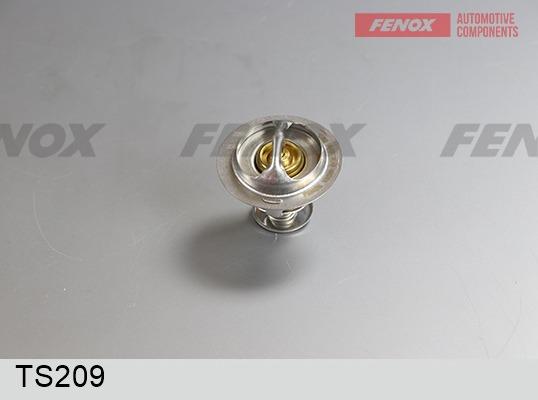 Fenox TS209 - Термостат, охолоджуюча рідина autocars.com.ua