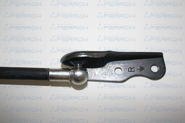 FERRON 1362R - Газовая пружина, упор autodnr.net