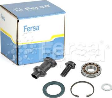 Fersa Bearings FSRK 001 - Підшипник ступиці колеса autocars.com.ua