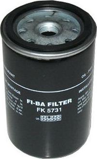 FI.BA FK-5731 - Топливный фильтр autodnr.net