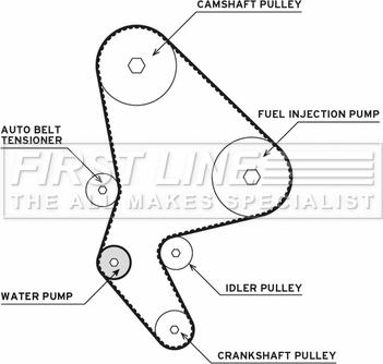 First Line FTW1007 - Водяний насос + комплект зубчатого ременя autocars.com.ua