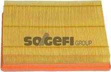 FRAM CA10696 - Повітряний фільтр autocars.com.ua