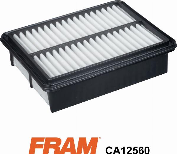 FRAM CA12560 - Повітряний фільтр autocars.com.ua