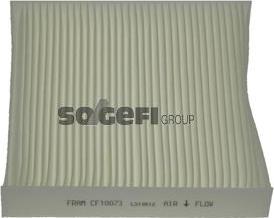FRAM CF10073 - Фильтр воздуха в салоне autodnr.net