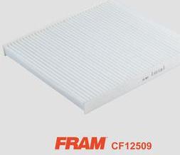 FRAM CF12509 - Фільтр, повітря у внутрішній простір autocars.com.ua