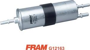 FRAM G12163 - Топливный фильтр autodnr.net