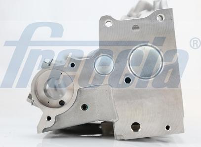 Freccia CH17-1005 - ГБЦ RENAULT CLIO II 1.9 D 98-05 autocars.com.ua