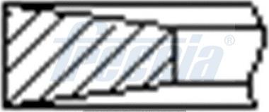 Freccia FR10-249500 - Комплект поршневых колец autodnr.net