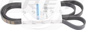 FREY 721605501 - Поликлиновой ремінь autocars.com.ua