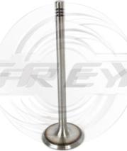 FREY 806701001 - Впускний клапан autocars.com.ua