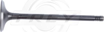 FREY 806701601 - Впускний клапан autocars.com.ua