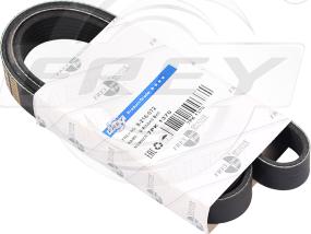 FREY 821607201 - Поликлиновой ремінь autocars.com.ua