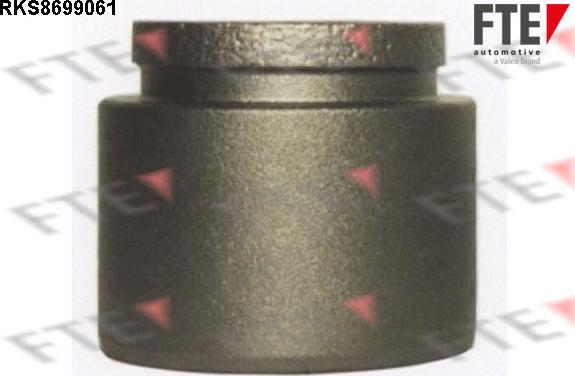 FTE RKS8699061 - Поршень, корпус скоби гальма autocars.com.ua