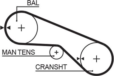 GATES 5025 - Ремінь ГРМ autocars.com.ua