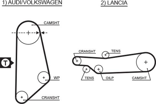 GATES 5031 - Ремінь ГРМ autocars.com.ua