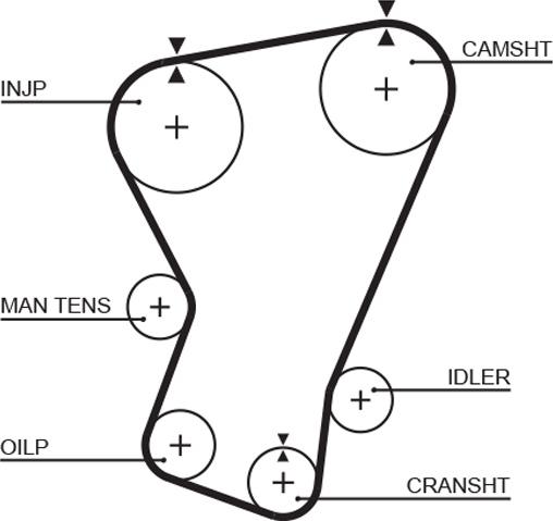 GATES 5065 - Ремінь ГРМ autocars.com.ua