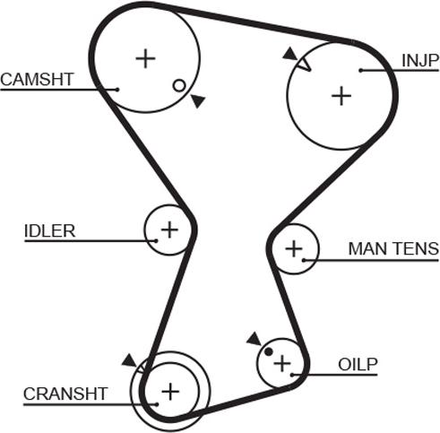 GATES 5072 - Ремінь ГРМ autocars.com.ua