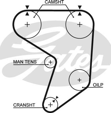 Gates 5195XS - Ремінь ГРМ autocars.com.ua