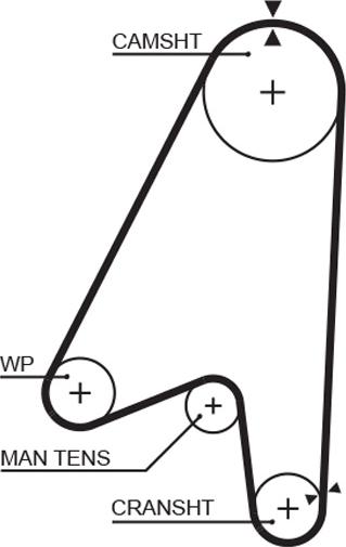 GATES 5239 - Ремінь ГРМ autocars.com.ua