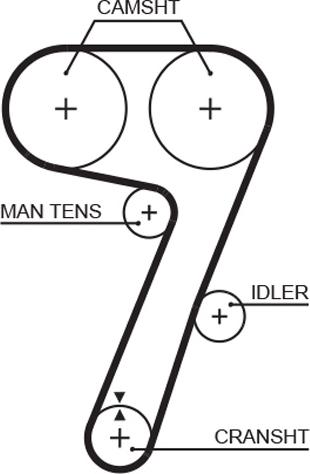 GATES 5336 - Ремінь ГРМ autocars.com.ua