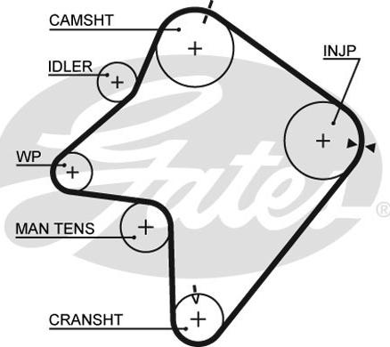 Gates 5354XS - Ремінь ГРМ autocars.com.ua