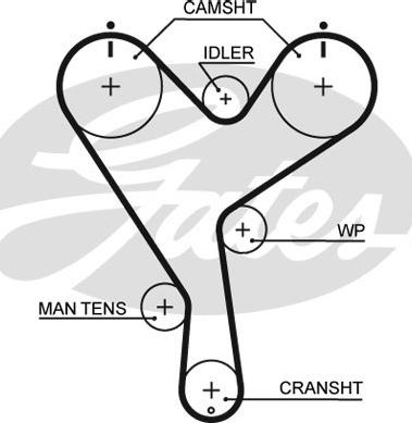 Gates 5402XS - Ремінь ГРМ autocars.com.ua