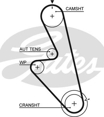 Gates 5449 - Ремінь ГРМ autocars.com.ua