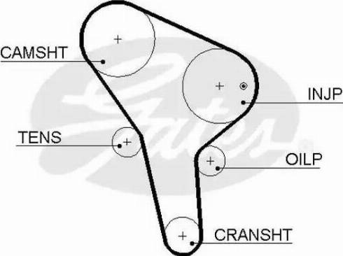 Gates 5455XS - Ремінь ГРМ autocars.com.ua