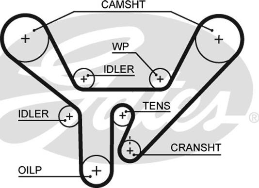 Gates 5518XS - Ремінь ГРМ autocars.com.ua