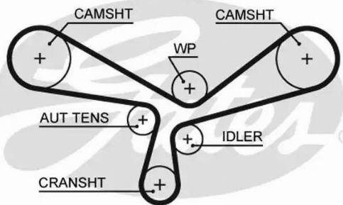 Gates 5520XS - Ремінь ГРМ autocars.com.ua