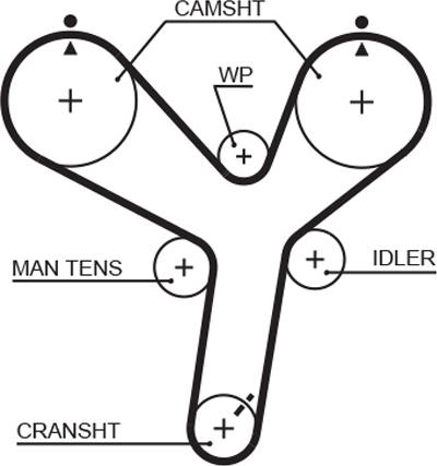GATES 5536XS - Ремінь ГРМ autocars.com.ua
