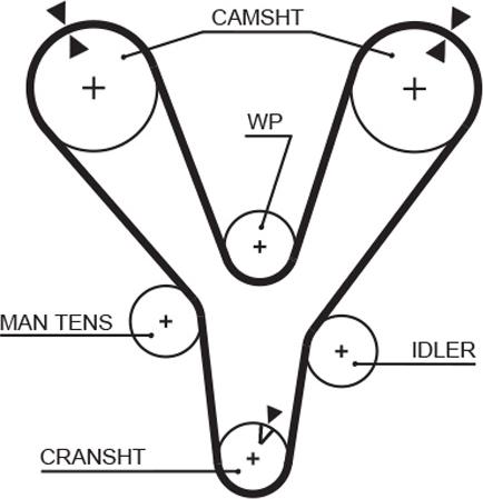GATES 5555XS - Ремінь ГРМ autocars.com.ua
