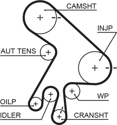 GATES 5562XS - Ремінь ГРМ autocars.com.ua
